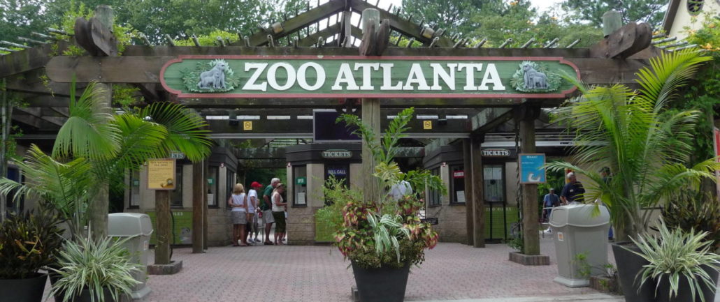 10 Fun Things to Do at Zoo Atlanta