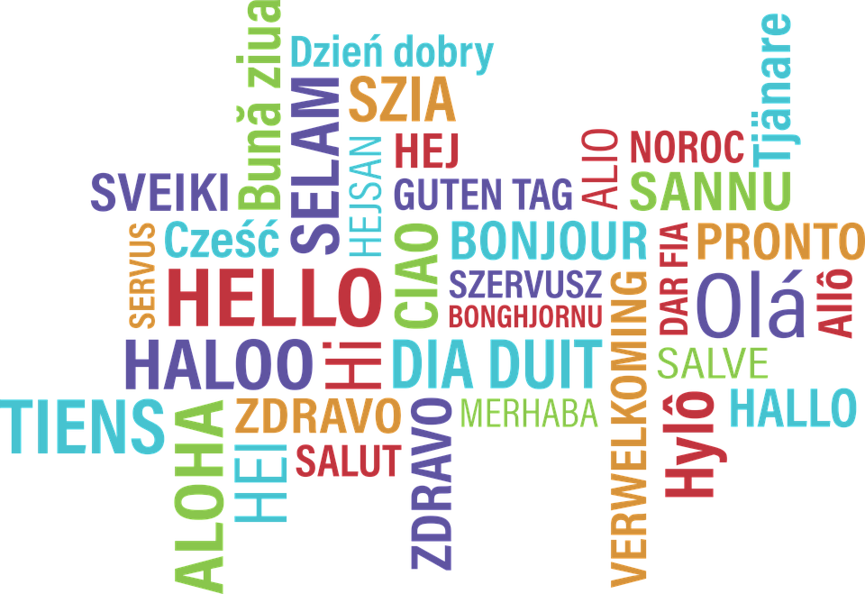 haloo dating