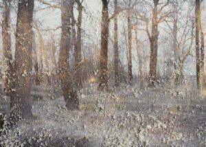 Frost-covered window view of winter trees.