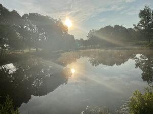 Sunrise over misty lake with trees reflecting.