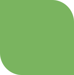 green leaf transparent Green rounded square shape icon