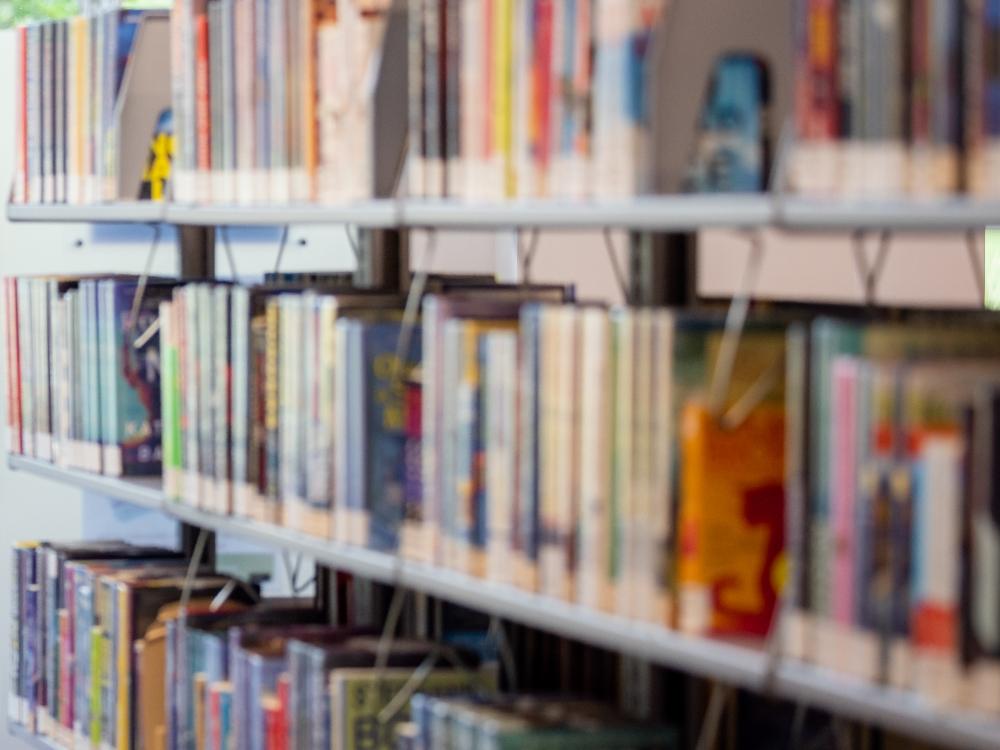 Library shelves filled with various colorful books.