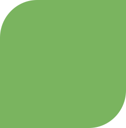 Green rounded square shape icon
